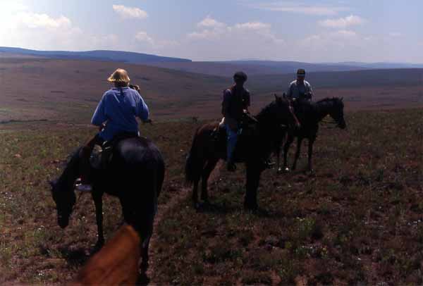 Photo of horse ride Photo of horse ride