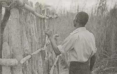 Photo of checking the horizontals Photo of checking the horizontals