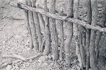 Photo of structure detail Photo of structure detail