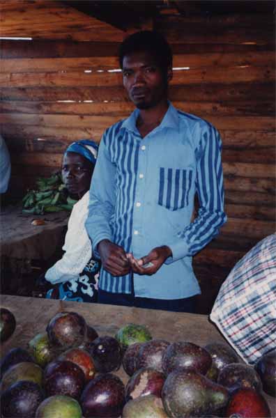 Photo of avocado stall Photo of avocado stall