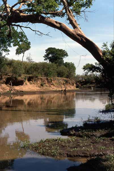 Photo of Mara River Photo of Mara River
