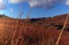 Nyika Plateau valley photo Nyika Plateau view photo