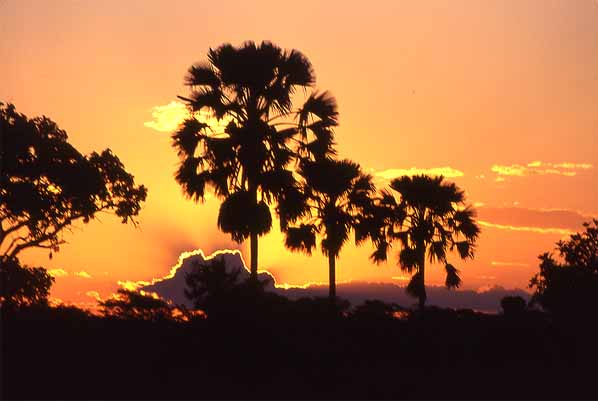 Photo of Liwonde sunset Photo of Liwonde sunset