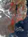 Africa fire from space Africa fire from space
