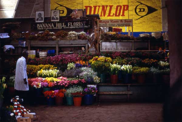 Photo of flower stall Photo of flower stall