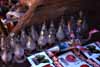 bulb stall photo bulb stall photo