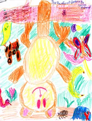 monkey and other animals drawing monkey and other animals drawing