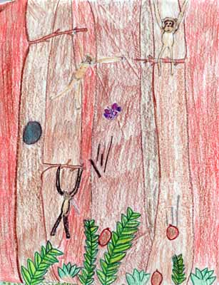 monkeys swinging drawing monkeys swinging drawing