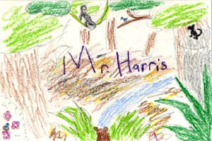 monkey swings drawing monkey swings drawing