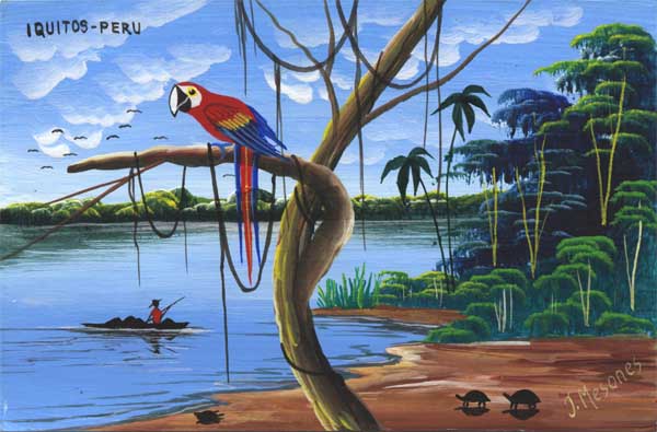 macaw with tortoises postcard macaw with tortoises postcard