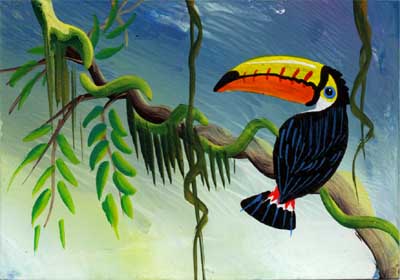 toucan postcard toucan postcard