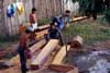 making planks photo making planks photo