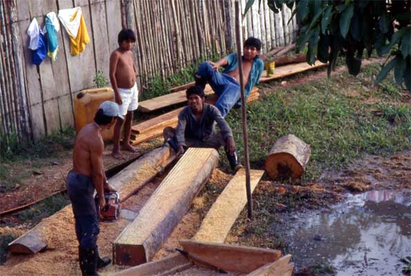 cutting planks photo