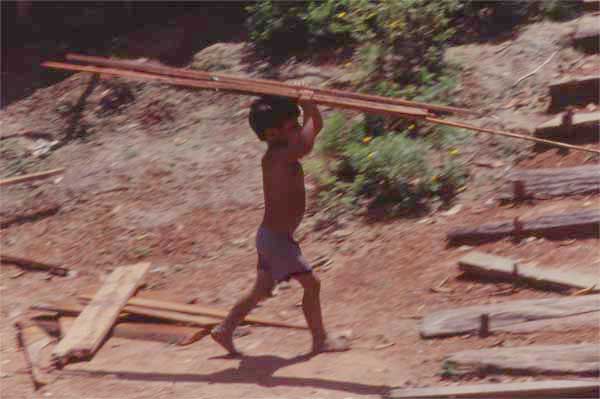 boy with plank photo boy with plank photo