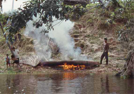 burning the canoe photo burning the canoe photo