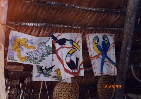 bark paintings photo bark paintings photo