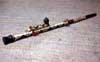 blowgun photo blowgun photo