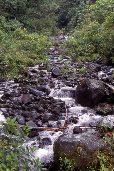 mountain stream photo mountain stream photo