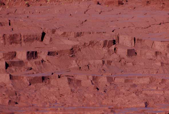 river mud photo river mud photo