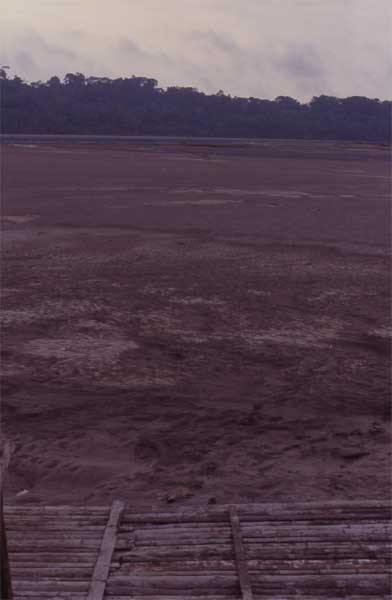 river mud photo river mud photo