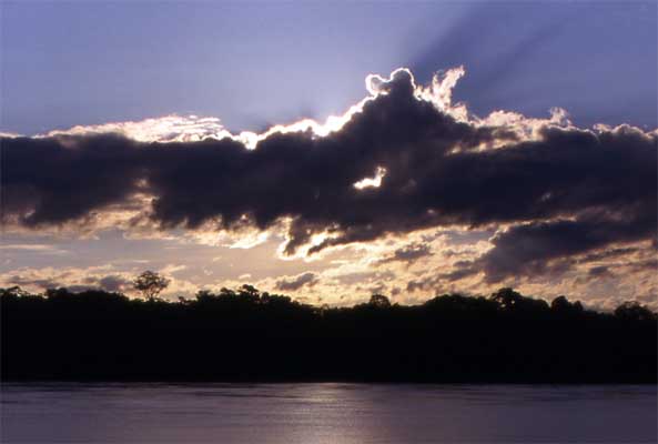 tree silhouettes sunsets photo (2) tree silhouettes sunsets photo (2)