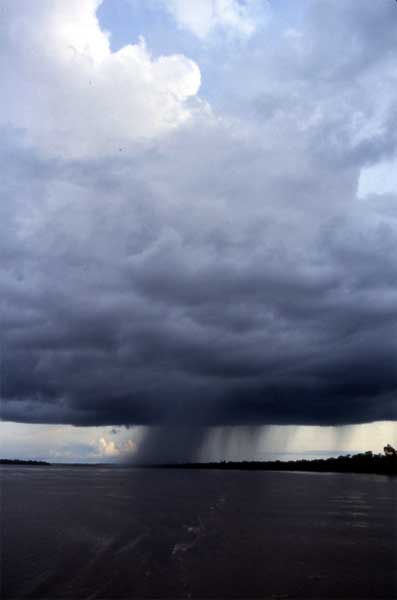 rain falling photo rain falling photo