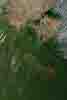 roads and forest fires photo roads and forest fires photo
