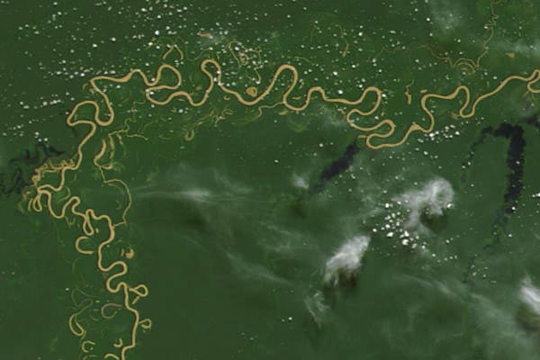 Rio Purus satellite image Rio Purus satellite image