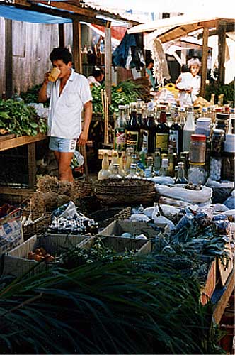 herbalist's market stall photo herbalist's market stall photo