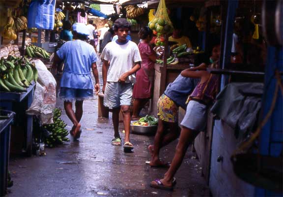 market fruit stall photo market fruit stall photo