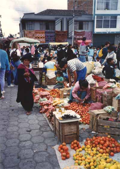 Photo of fruit and vegetables at Otavalo market Photo of fruit and vegetables at Otavalo market