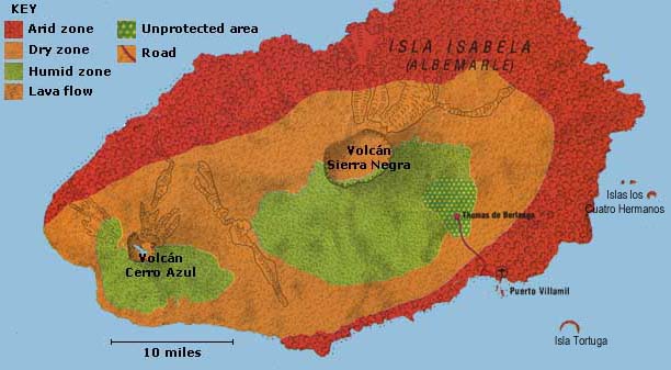 Image of Galapagos southern Isabela Island map Image of Galapagos southern Isabela Island map
