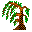 Galapagos trees