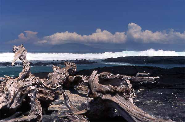 Photo of Punta Espinoza Photo of Punta Espinoza